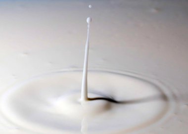 Bir damla sıvı düşer ve sütün yüzeyi tuhaf desenler yaratır.