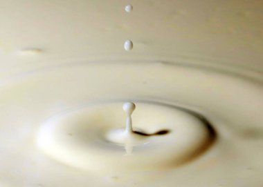 Bir damla sıvı düşer ve sütün yüzeyi tuhaf desenler yaratır.