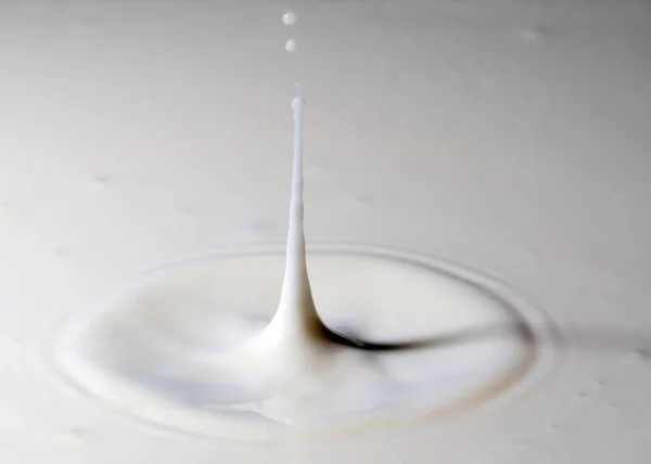 Drop Liquid Falls Surface Milk Creates Whimsical Patterns — Stock Photo, Image