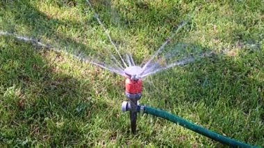 Çimleri sularken plastik spreyden temiz su fışkırıyor.