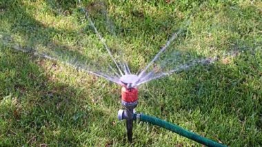 Çimleri sularken plastik spreyden temiz su fışkırıyor.