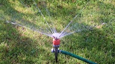 Çimleri sularken plastik spreyden temiz su fışkırıyor.