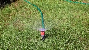 Çimleri sularken plastik spreyden temiz su fışkırıyor.