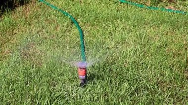 Çimleri sularken plastik spreyden temiz su fışkırıyor.
