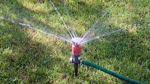 用塑料喷雾器浇灌草坪草时喷出的清水 — 图库视频影像