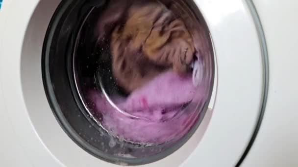 빨래를 하면서 세탁기 — 비디오