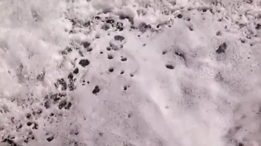 Fırtına sırasında su ve deniz dalgaları yüzeyinde köpük.