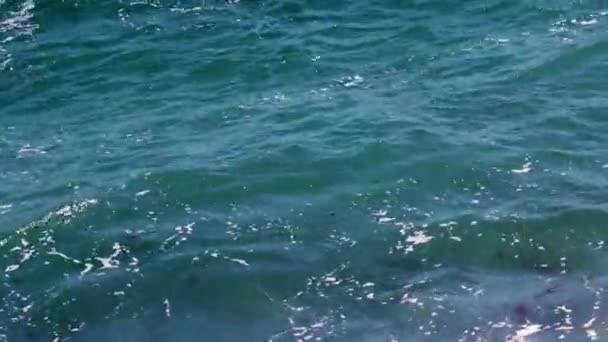Mousse Surface Eau Les Vagues Mer Pendant Une Tempête — Video