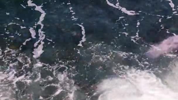 Піна Поверхні Води Морських Хвиль Під Час Шторму — стокове відео