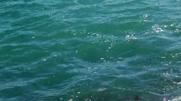 Piana Powierzchni Wody Fal Morskich Podczas Burzy — Wideo stockowe