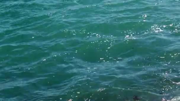 Mousse Surface Eau Les Vagues Mer Pendant Une Tempête — Video