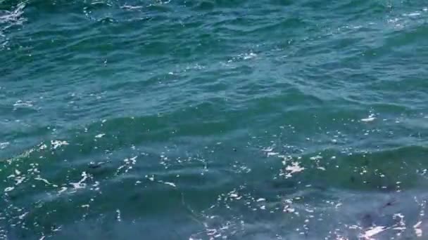 Mousse Surface Eau Les Vagues Mer Pendant Une Tempête — Video