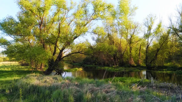 Prado verde perto de belo rio — Fotografia de Stock
