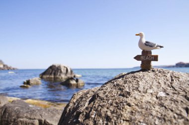 kayanın üzerinde martı