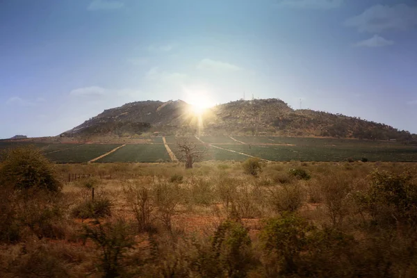 Keňa krajina s východem slunce — Stock fotografie
