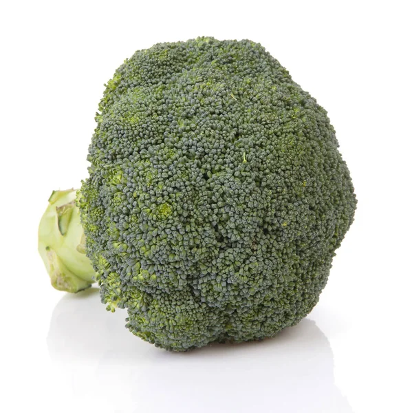 Broccolo Fresco Crudo Vegetale Sfondo Bianco — Foto Stock