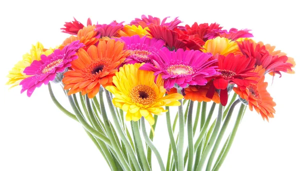 Bouquet Von Bunten Gerbera Blumen Überweißem Hintergrund — Stockfoto