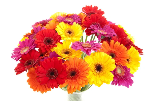 Bouquet Fiori Gerbera Colorati Sfondo Bianco — Foto Stock