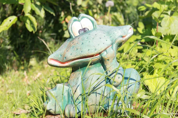 青蛙 — 图库照片