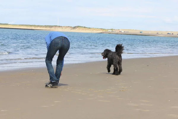 Homem Cão Encontram Praia — Fotografia de Stock