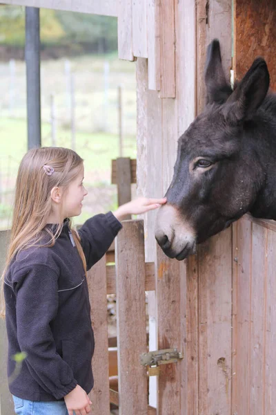 Blond Girl Cuddling Black Donkey — Stock Photo, Image