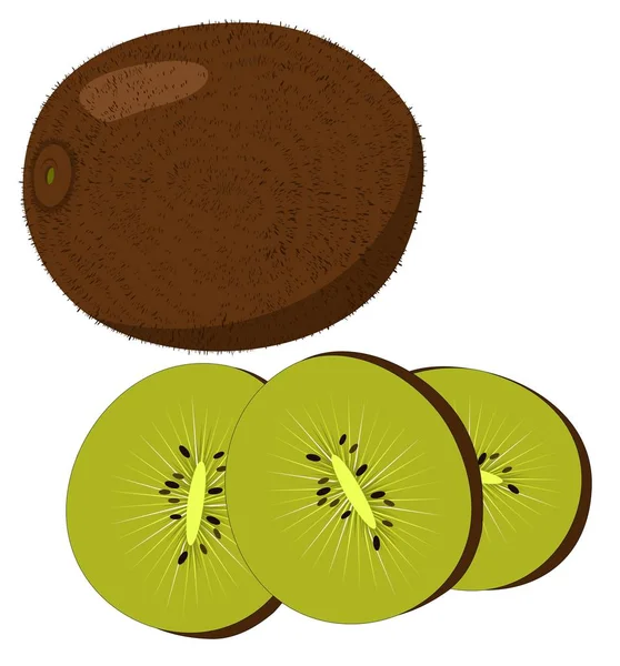 Kiwi, rodajas de kiwi aisladas sobre fondo blanco . — Vector de stock