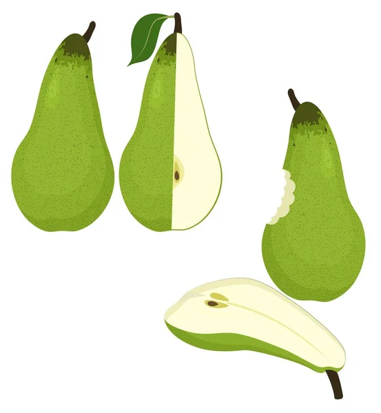 Pears vector illustration isolated on white background. — Stock Vector