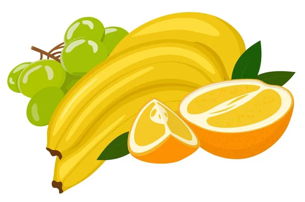 Composición de varias frutas frescas exóticas naranja, plátano, uva — Vector de stock