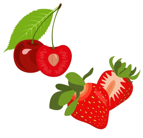 Erdbeeren und Kirschen. Vektor Sommer Obst Illustration. — Stockvektor