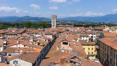 Floransa eski binalar çatı gündüz, havadan görünümü