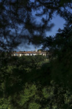 ağaçların üzerinden binalar yeşil tepe üzerinde görüntüleyin