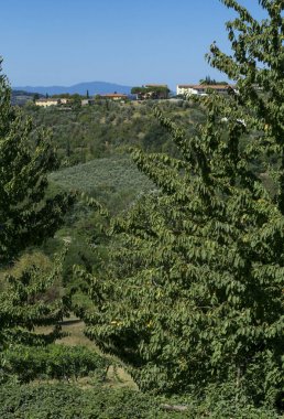 ağaçların üzerinden binalar yeşil tepe üzerinde görüntüleyin