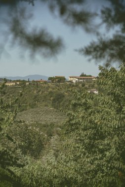 ağaçların üzerinden binalar yeşil tepe üzerinde görüntüleyin