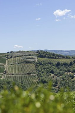 Yeşil tepelerin görünümünü mavi gökyüzü arka plan üzerinde