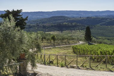 yeşil ağaçlar ve mavi gökyüzü arka plan tepelerde peyzaj