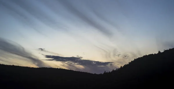 Trädgränsen Siluett Solnedgången — Stockfoto