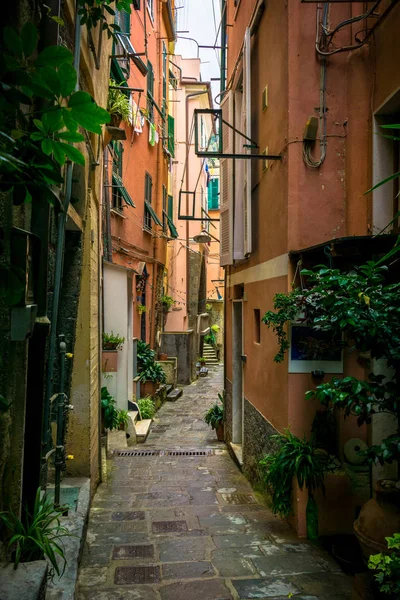 Paseo Entre Casas Vernazza Cinque Terre —  Fotos de Stock