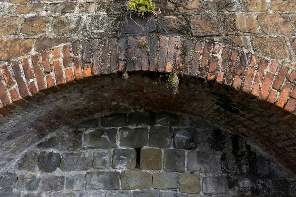 Succulents Growing Out Brick Architecture — Stock Photo, Image