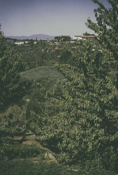 Uitzicht Gebouwen Groene Heuvel Bomen — Stockfoto