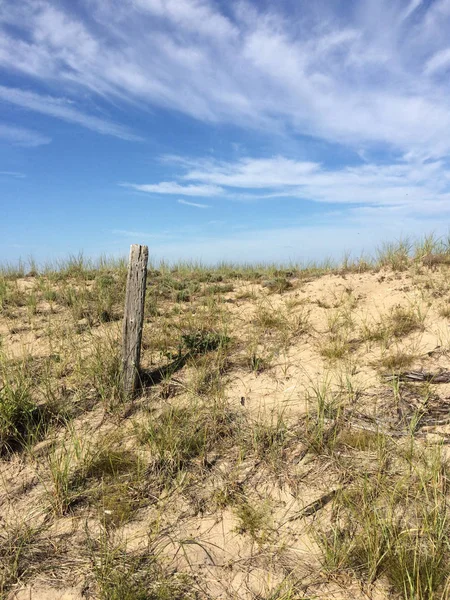 ビーチの砂丘砂と草 — ストック写真