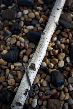 İskelet anahtar huş ağacı dalı kayalık zemin üzerine yatan