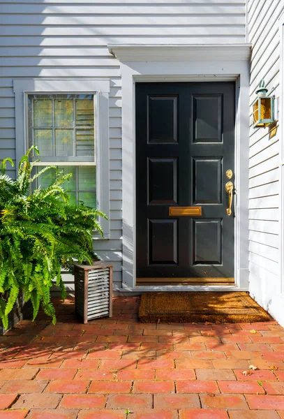 Tuğla Geçit Yeşil Bitki Tencerede Kapı — Stok fotoğraf