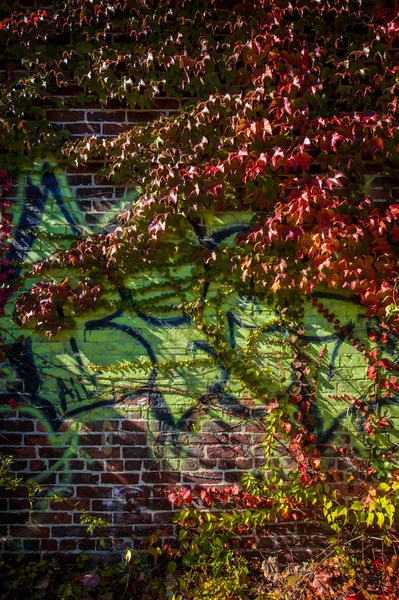 Stedelijke Steegje Baksteen Met Graffiti — Stockfoto