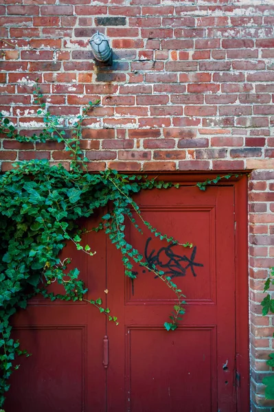 Red Door Brick Building Ivy — Stock Photo, Image