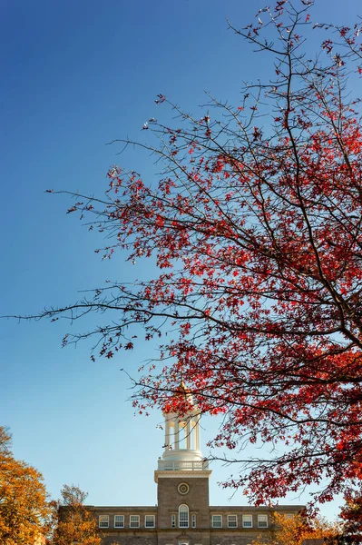 秋の植民地建物の正面の木の枝 — ストック写真