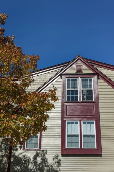 Baum Der Nähe Von New England Home Herbst — Stockfoto