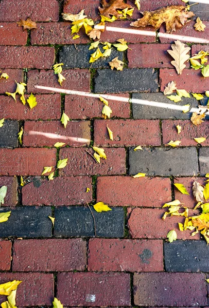 Feuilles Automne Sur Fond Route Brique — Photo