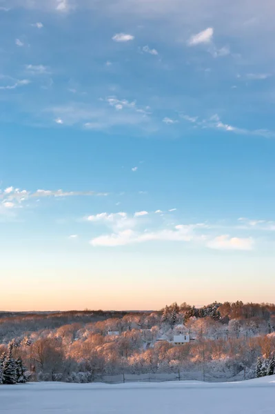 Haus Wald Auf Blauem Himmel Hintergrund — Stockfoto