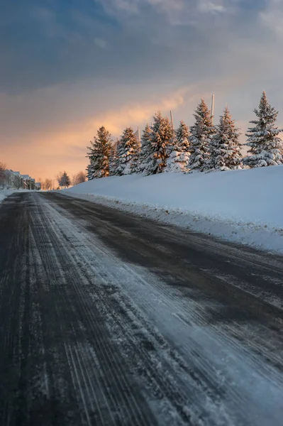 Vägen Mellan Snö Täckta Granar Sunset Bakgrund — Stockfoto