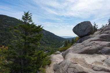 Stone and firs on rock in Acadia National Park clipart
